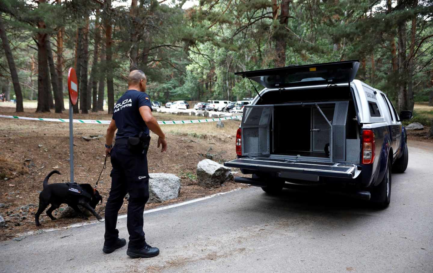 Benji y Brutus, así trabajan los perros de la Policía Nacional las montañas de Cercedilla