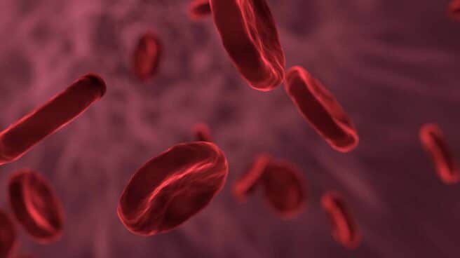 red-blood-cells-3188223_1920
