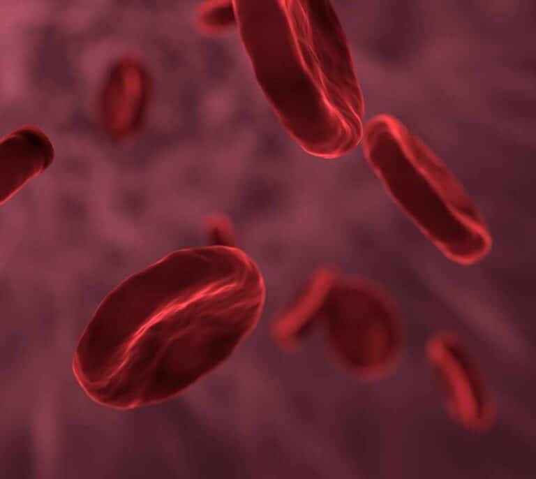 Terapia génica ‘made in Spain’ frente a la anemia de Fanconi