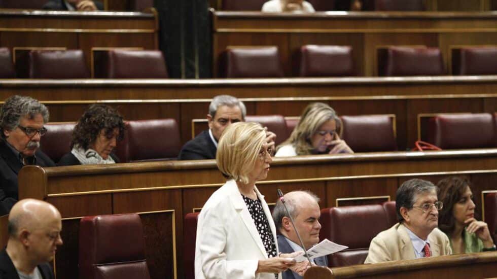 Rosa Díez, en el Congreso de los Diputados.