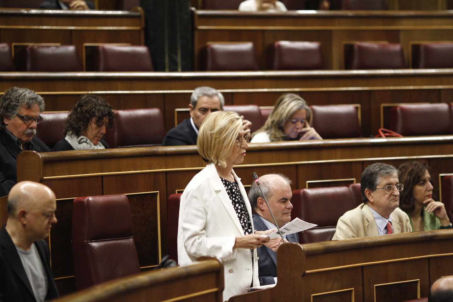 Rosa Díez, en el Congreso de los Diputados.