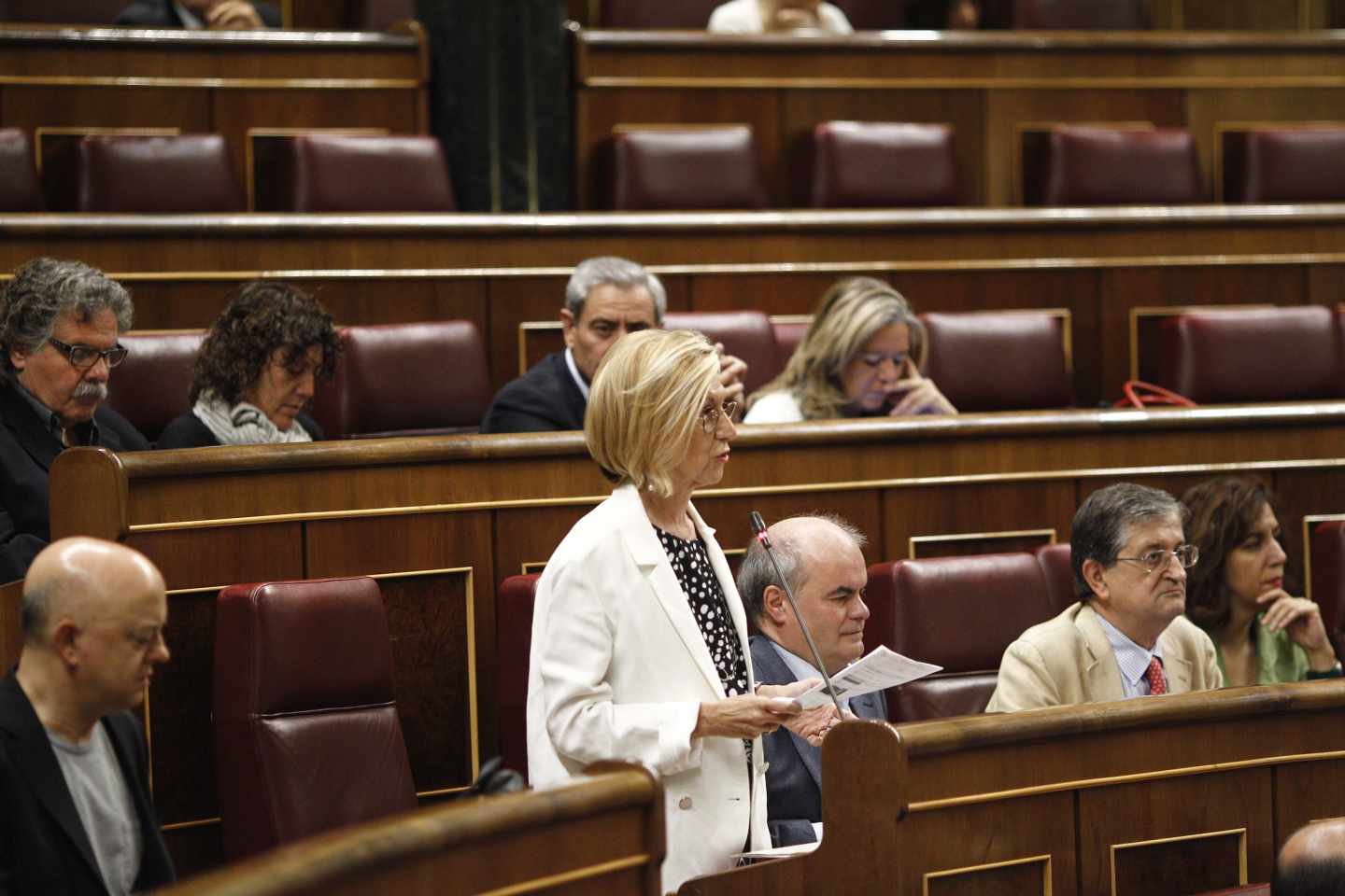 Rosa Díez, en el Congreso de los Diputados.
