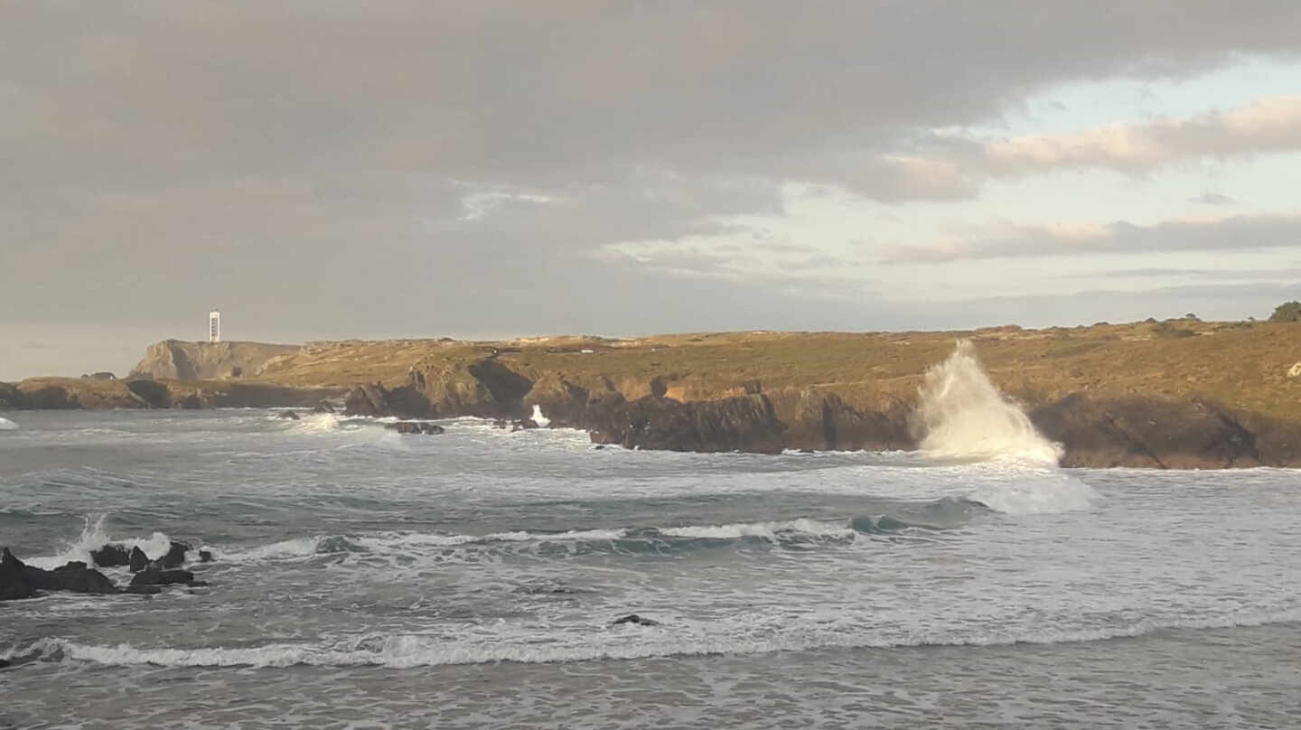 Olas