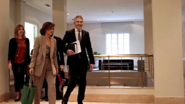 Marlaska: "Torra tiene que decidir si quiere ser presidente de los catalanes o un activista"