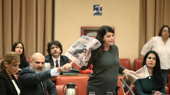 La portavoz de Vox en el Congreso, Macarena Olona