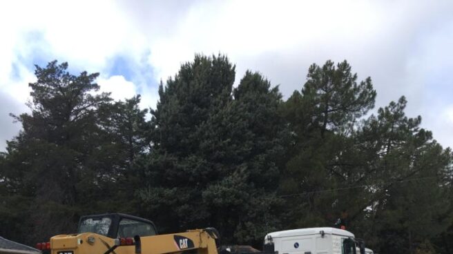 El Gobierno comunica a la familia Franco que la exhumación será este miércoles Un camión transporta una excavadora hasta el Valle de los Caídos.