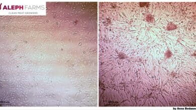 Consiguen producir carne cultivada en la Estación Espacial Internacional