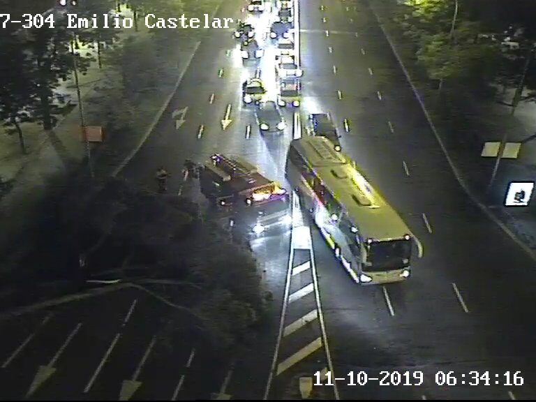 Cortado el paseo de la Castellana por la caída de un árbol