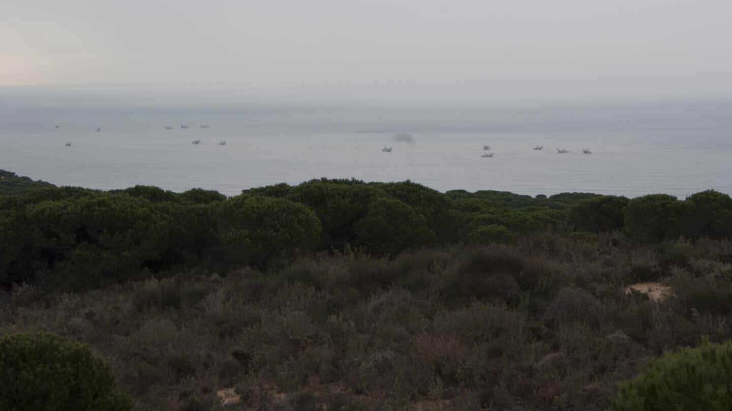 Doñana cumple cincuenta años con muchas "amenazas pendientes"