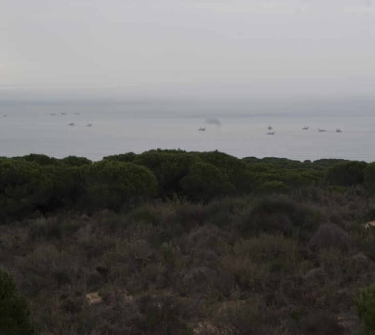 Doñana cumple cincuenta años con muchas "amenazas pendientes"