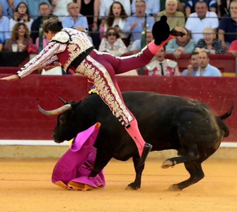 Terrible cornada al banderillero Mariano de la Viña en Zaragoza