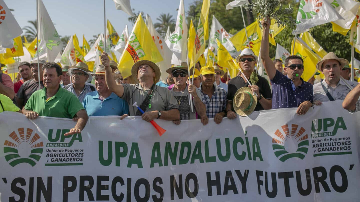 Los olivareros se manifiestan en Madrid por los aranceles de Trump