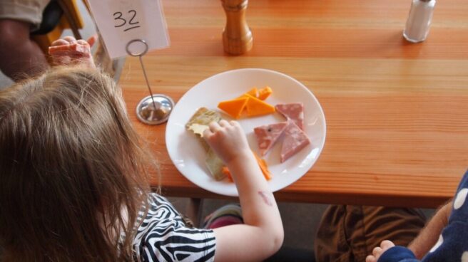 cropped-child_eating_kids_childhood_meal_eat_food_enjoying_children-703209.jpg