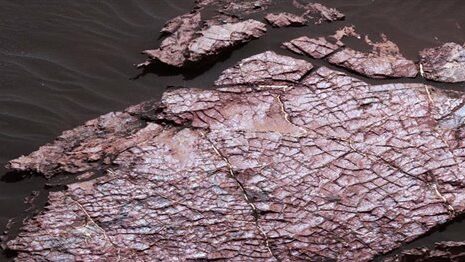 Un antiguo oasis en Marte, el nuevo hallazgo de la NASA en el planeta rojo