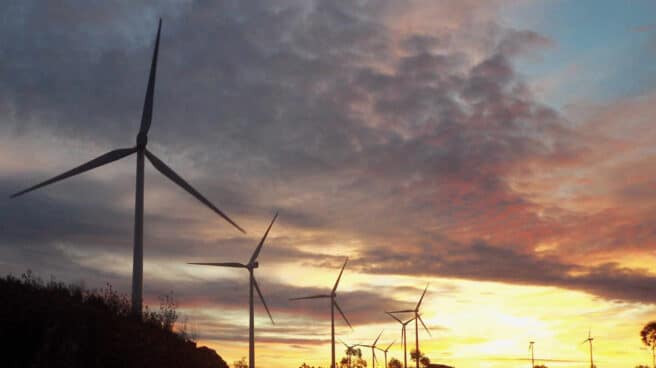 Un parque de energía eólica.