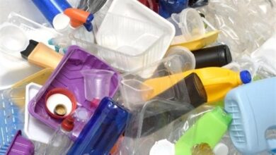 Científicos españoles desarrollan plásticos biodegradables reciclables para envasado