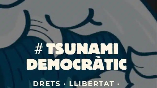 Tsunami Democràtic abre el dominio 'pedrosanchez.cat' tras el cierre de su web