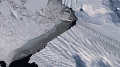 El microplástico alcanza ya en núcleos de hielo de la Antártida