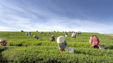 La importancia de celebrar el Día de las Mujeres Rurales