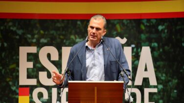 Vox pide distinguir entre matar a una mujer "por odio" y hacerlo por "alcoholismo"
