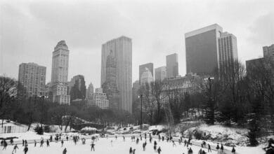 Fotos robadas a Nueva York y al tiempo