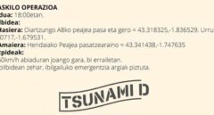 La investigación de 'Tsunami' señala que no hubo acciones espontáneas y que los disturbios estaban dirigidos