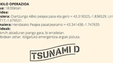 La investigación de 'Tsunami' señala que no hubo acciones espontáneas y que los disturbios estaban dirigidos