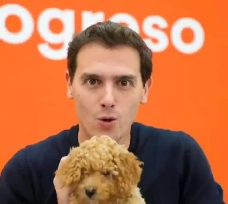 El perro Lucas, el "arma secreta" de  Rivera para el debate, revoluciona Twitter