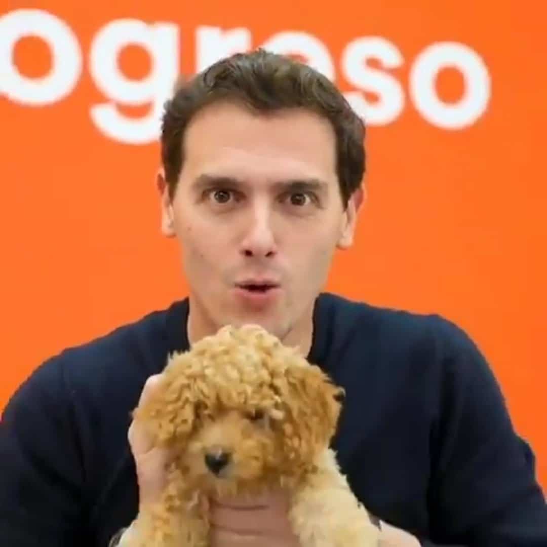 El perro Lucas, el "arma secreta" de  Rivera para el debate, revoluciona Twitter