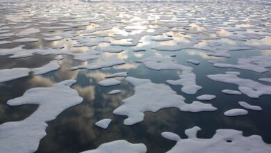 El parón del Covid en 2020 no frena al cambio climático