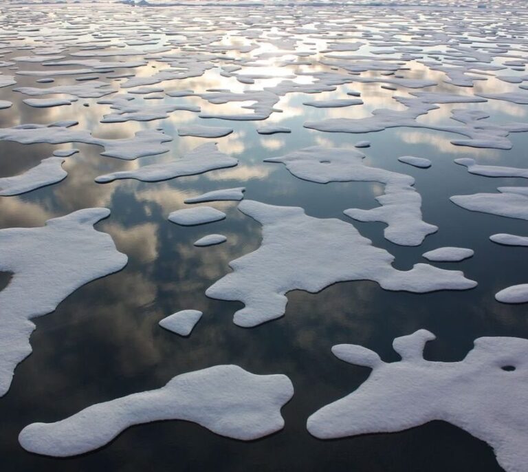 El Ártico puede quedar libre de hielo en verano en solo 25 años