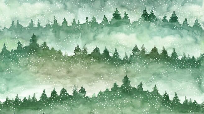 FOREST_eci