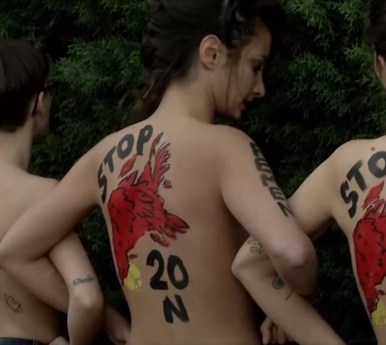 Activistas de Femen irrumpen en una marcha convocada por Falange en Madrid