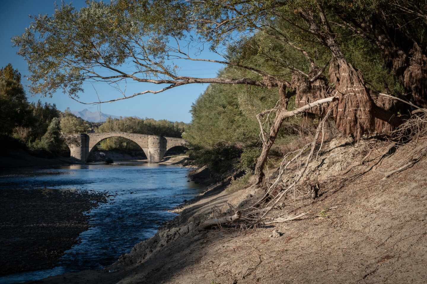 Los cielos despejados y las temperaturas cercanas a los 25ºC marcarán el día de Nochebuena