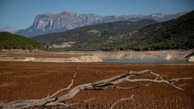 Cataluña tendrá 301 municipios con restricciones por sequía a final de semana