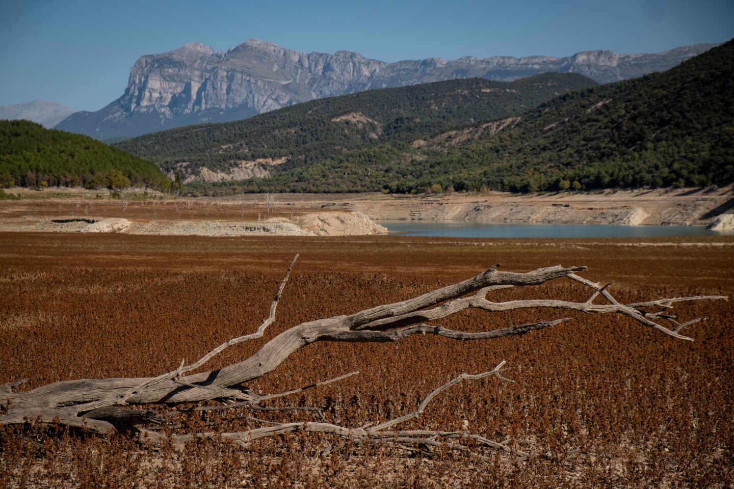 Cataluña tendrá 301 municipios con restricciones por sequía a final de semana