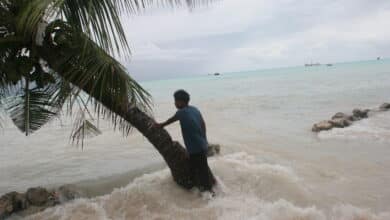 La emergencia climática marca la cuenta atrás hacia el desorden mundial