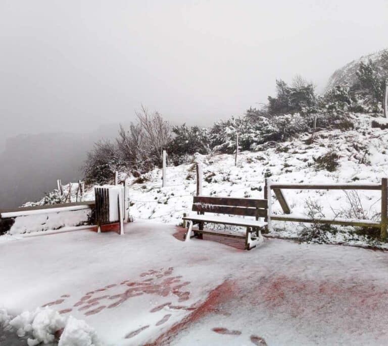 De Aragón y Navarra a Canarias: doce provincias en aviso por nevadas y oleaje