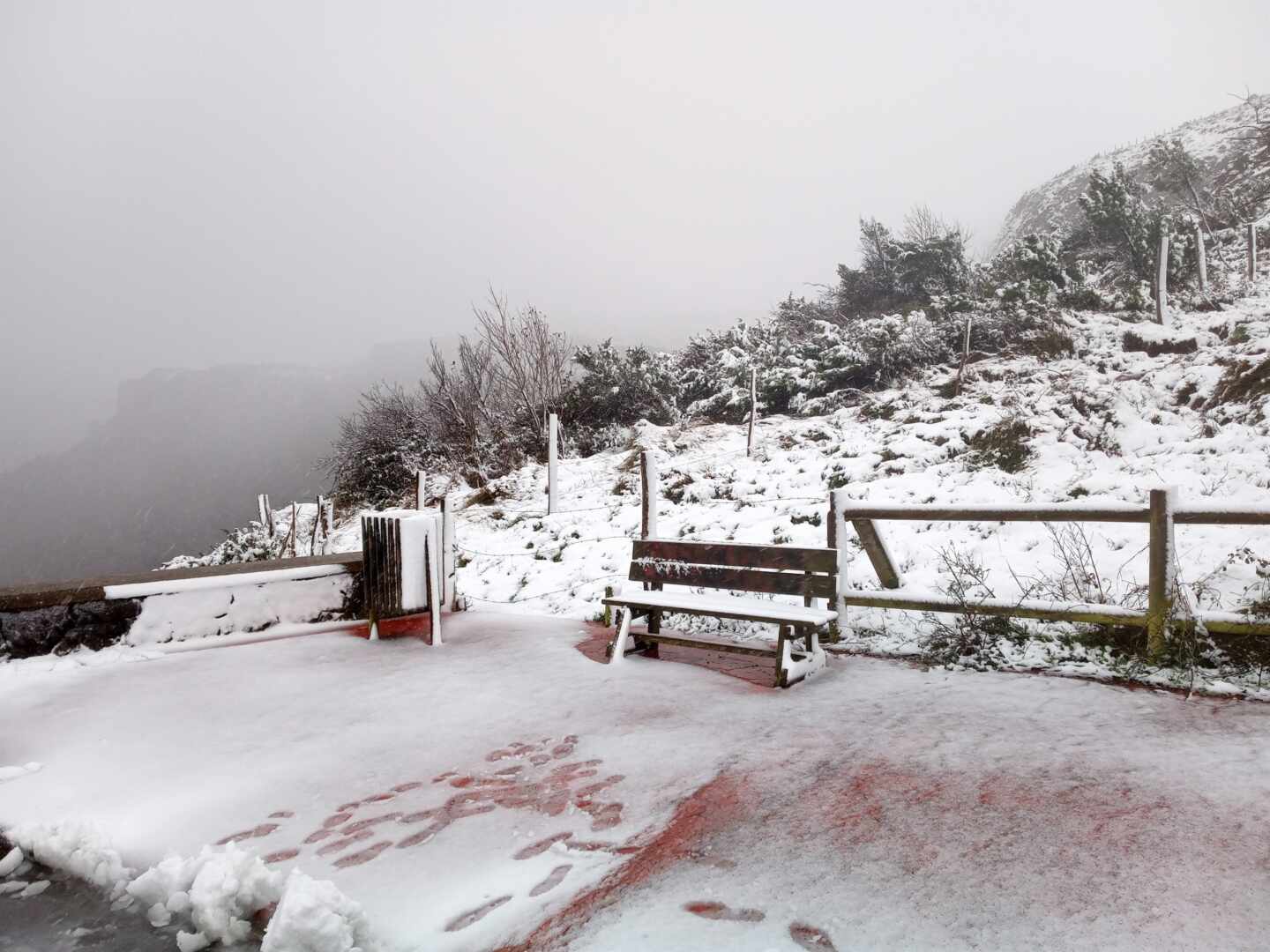 De Aragón y Navarra a Canarias: doce provincias en aviso por nevadas y oleaje