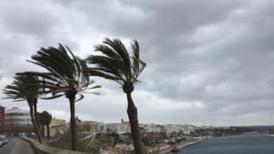 Descubre cuándo remitirá el temporal por viento y lluvia en función de dónde vives