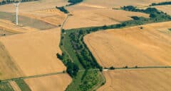 La cicatriz verde del telón de acero, de zona de muerte a reserva natural