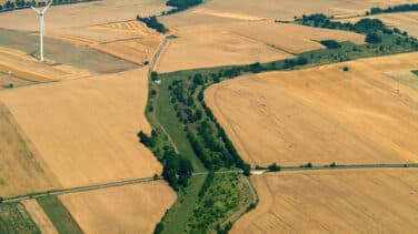 La cicatriz verde del telón de acero, de zona de muerte a reserva natural