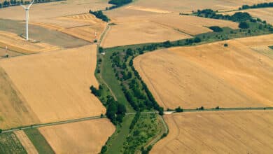 La cicatriz verde del telón de acero, de zona de muerte a reserva natural