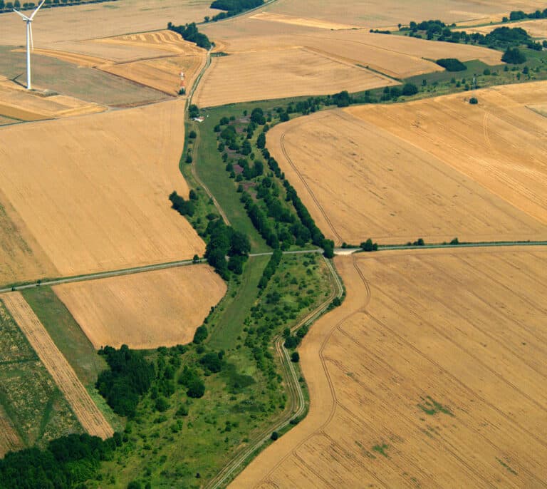 La cicatriz verde del telón de acero, de zona de muerte a reserva natural