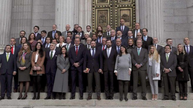 Los diputados de Vox, en el Congreso.