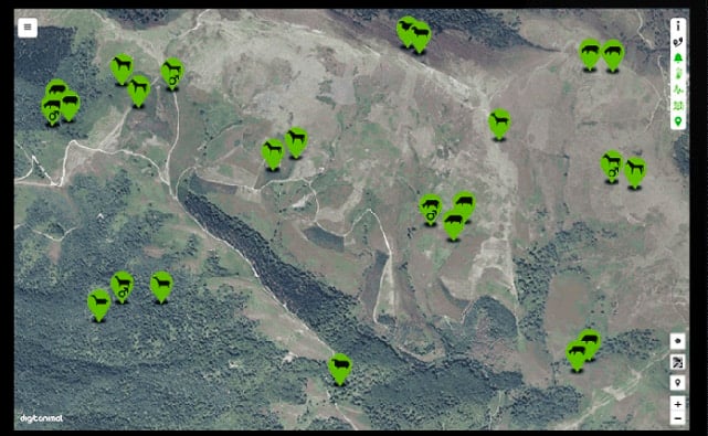 Imagen de la monitorización de ganado por satélite.