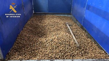Detenido por robar más de 12 toneladas de almendras para su venta en once provincias