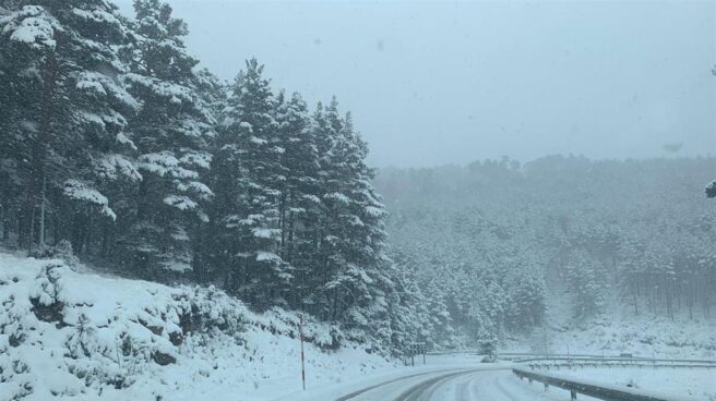 Nieve Nieve