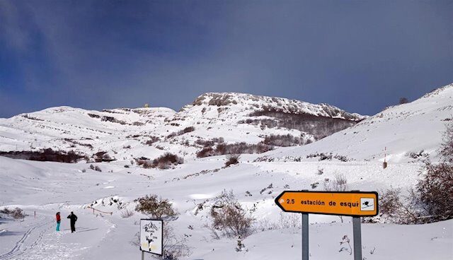 Nieve
