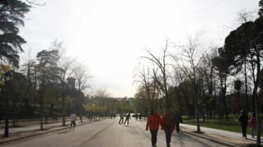 Cada 2% más de verde alrededor de casa, el riesgo de muerte prematura cae un 4%